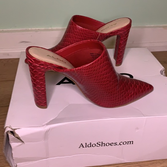 ALDO Skene - Picture 5 of 5